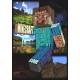 34282MC vafa Minecraft 30x20cm